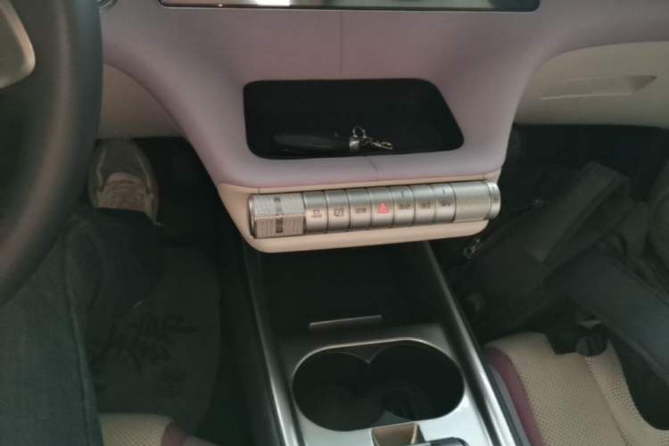 Used BYD Dolphin 2023 420 km Free Version Gear Lever