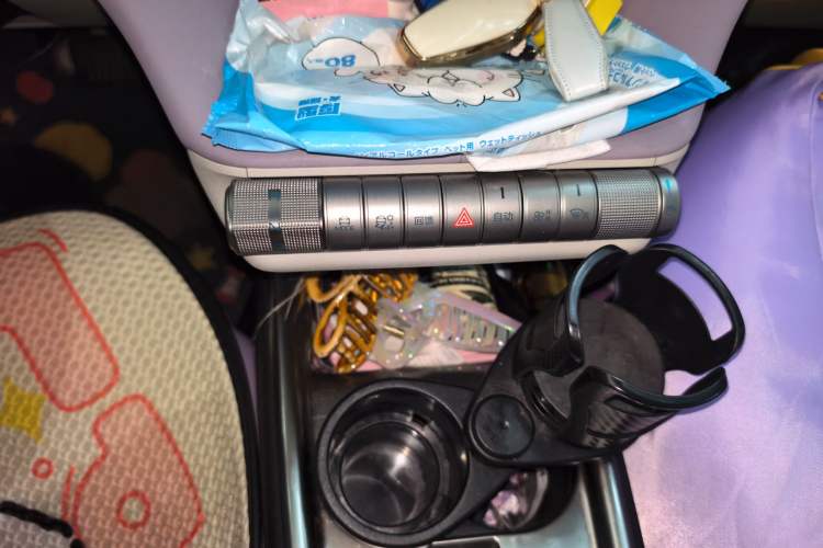 Used BYD Dolphin 2023 420 km Fashion Edition Gear Lever