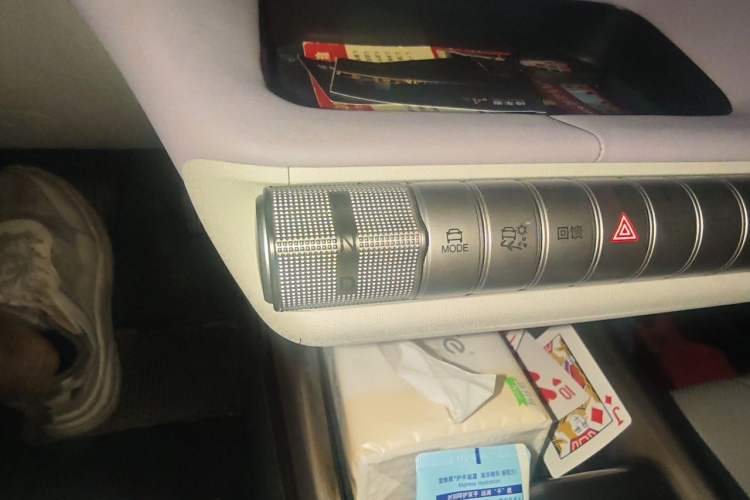Used BYD Dolphin 2023 420 km Fashion Edition Gear Lever