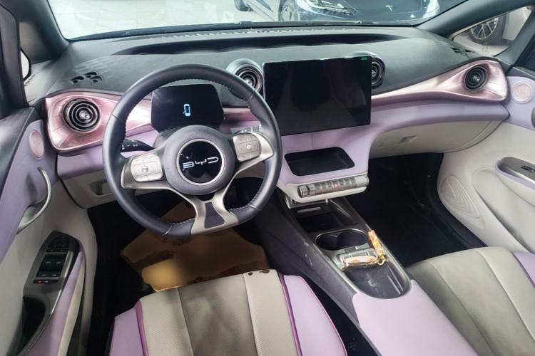 Used BYD Dolphin 2023 420 km Fashion Edition Center Console