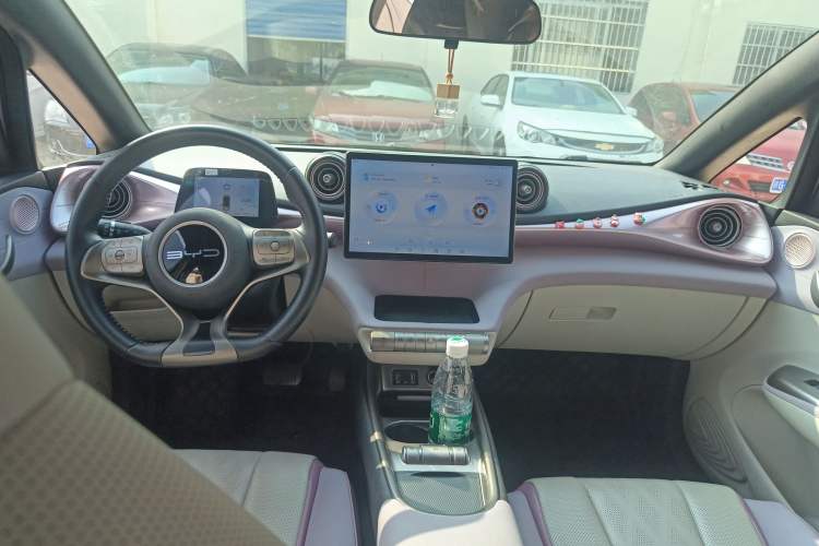 Used BYD Dolphin 2023 420 km Fashion Edition Center Console
