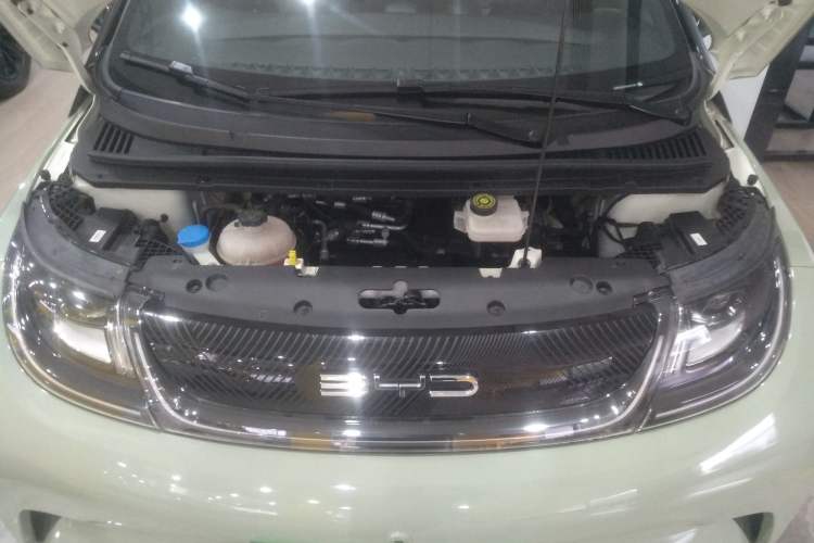 Used BYD Dolphin 2023 420 km Free Version Engine Bay