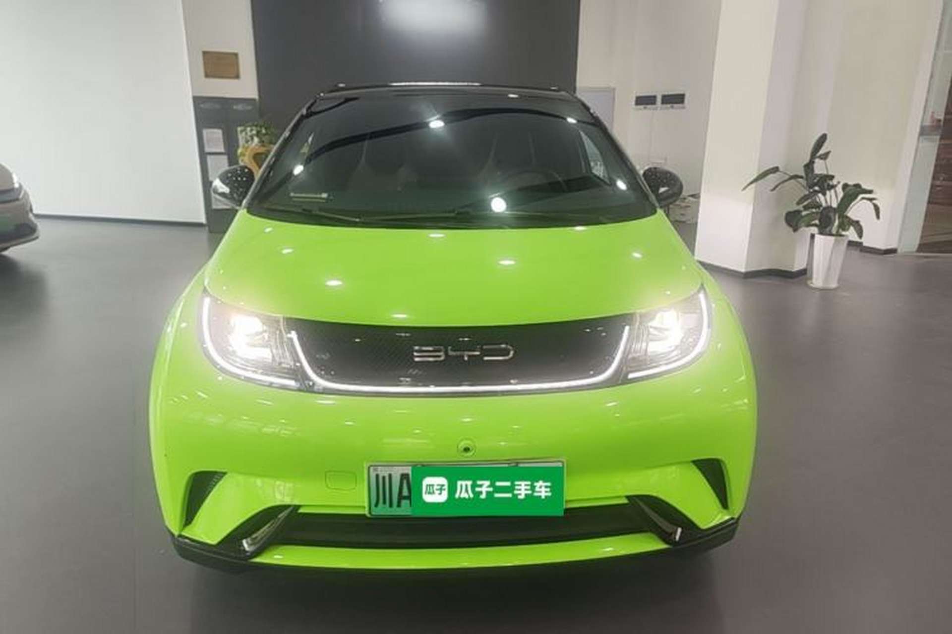 Used BYD Dolphin 2023 420 km Fashion Edition Front