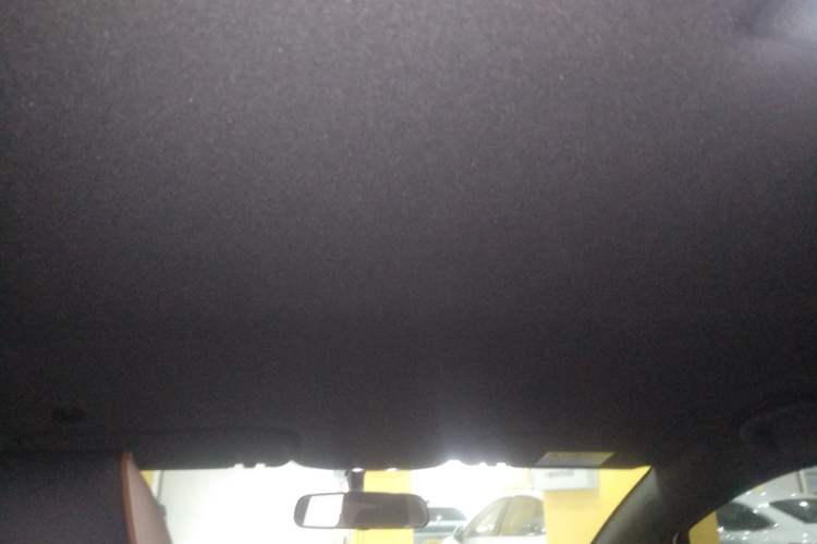 Used BYD Dolphin 2023 420 km Free Version Headliner