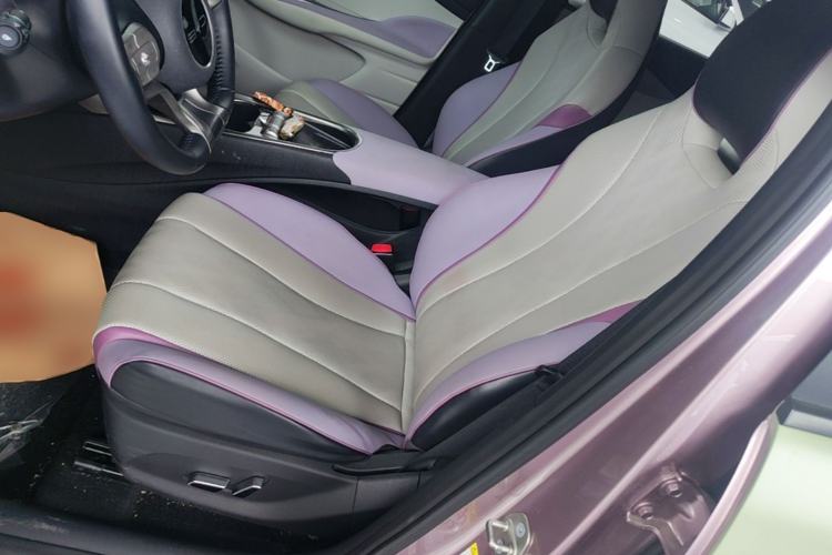 Used BYD Dolphin 2023 420 km Fashion Edition Left Front Seat