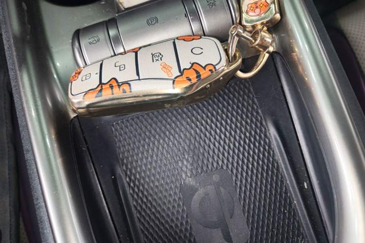 Used BYD Dolphin 2023 420 km Fashion Edition Vehicle Key