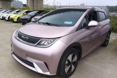Used BYD Dolphin 2023 420 km Free Version