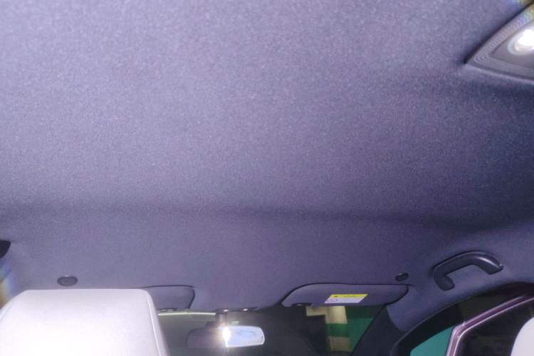 Used BYD Dolphin 2023 420 km Free Version Headliner