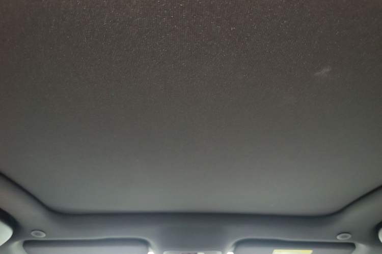 Used BYD Dolphin 2023 420 km Fashion Edition Headliner