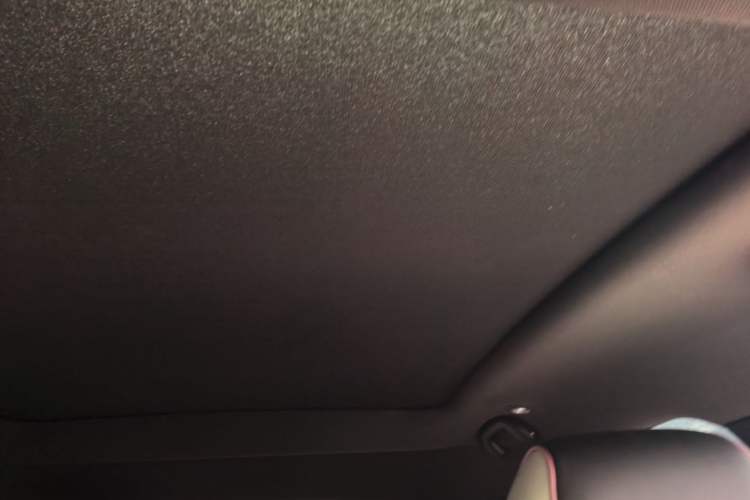 Used BYD Dolphin 2023 420 km Fashion Edition Headliner
