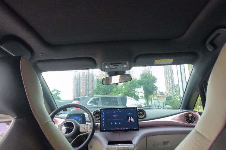 Used BYD Dolphin 2023 420 km Fashion Edition Headliner