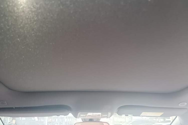 Used BYD Dolphin 2023 420 km Fashion Edition Headliner