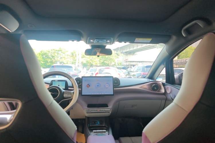 Used BYD Dolphin 2023 420 km Fashion Edition Headliner