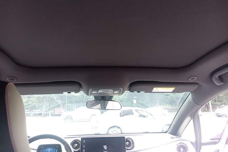 Used BYD Dolphin 2023 420 km Fashion Edition Headliner