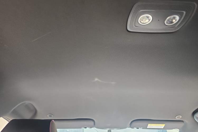 Used BYD Dolphin 2023 420 km Free Version Headliner