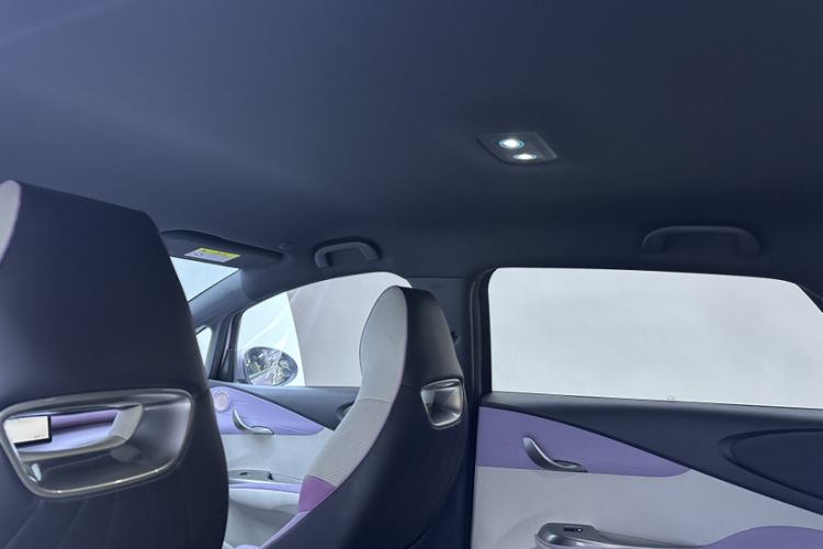 Used BYD Dolphin 2023 420 km Free Version Headliner