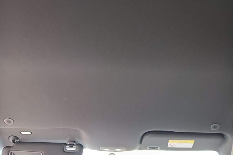 Used BYD Dolphin 2023 420 km Free Version Headliner