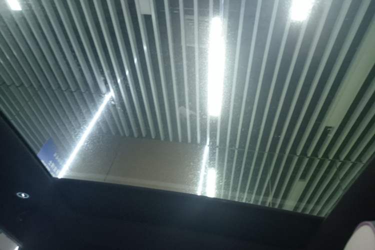 Used BYD Dolphin 2023 420 km Fashion Edition Headliner