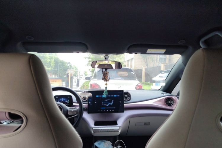 Used BYD Dolphin 2023 420 km Free Version Headliner