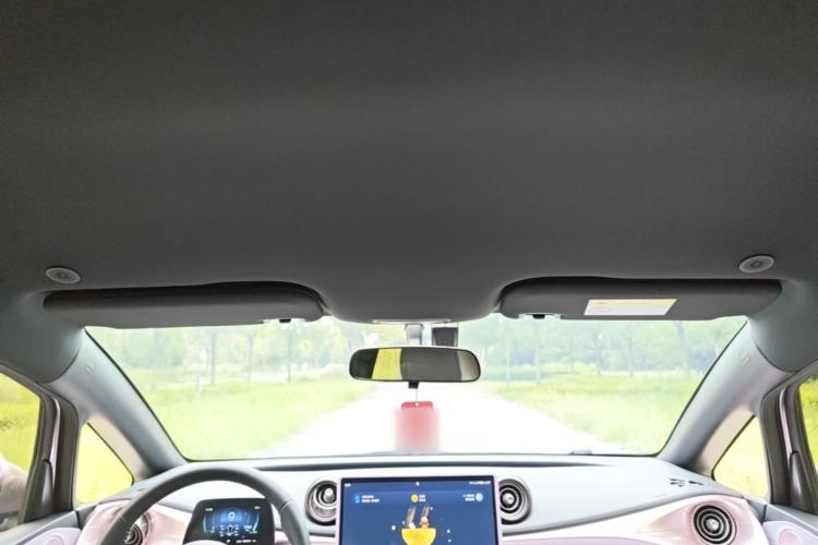Used BYD Dolphin 2023 420 km Fashion Edition Headliner
