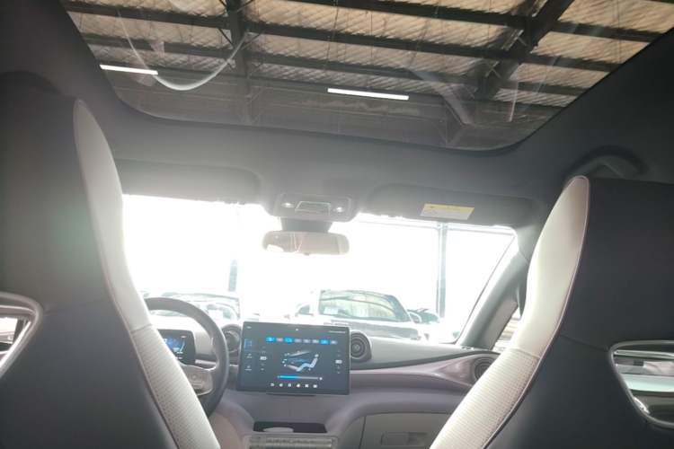 Used BYD Dolphin 2023 420 km Fashion Edition Headliner
