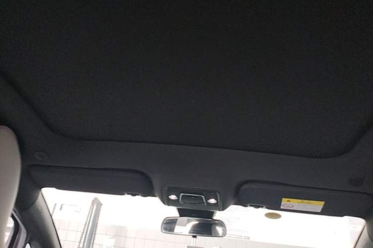 Used BYD Dolphin 2023 420 km Fashion Edition Headliner