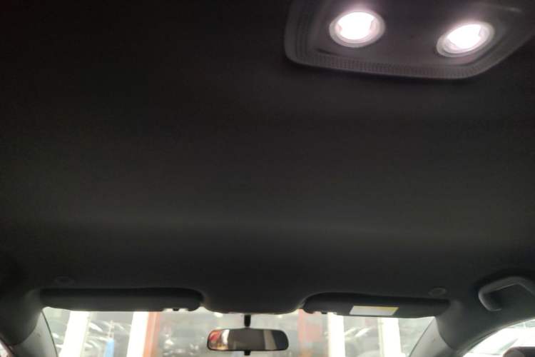 Used BYD Dolphin 2023 420 km Free Version Headliner