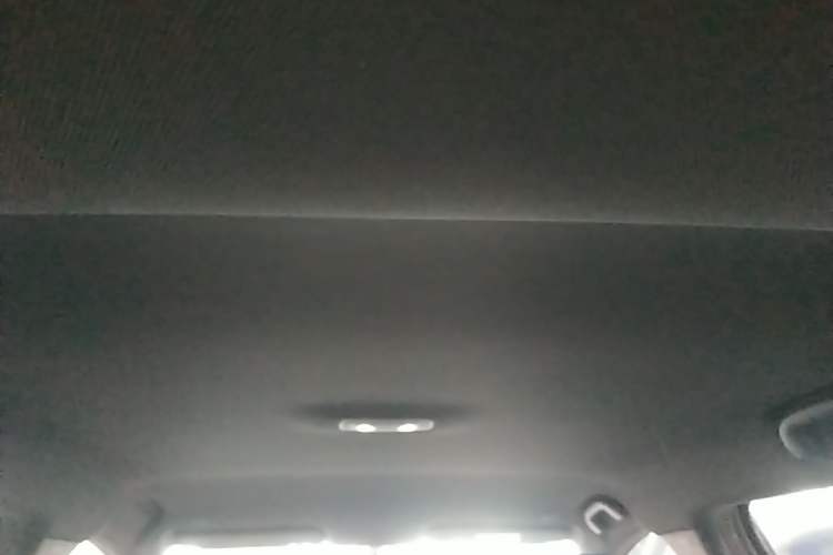 Used BYD Dolphin 2023 420 km Free Version Headliner