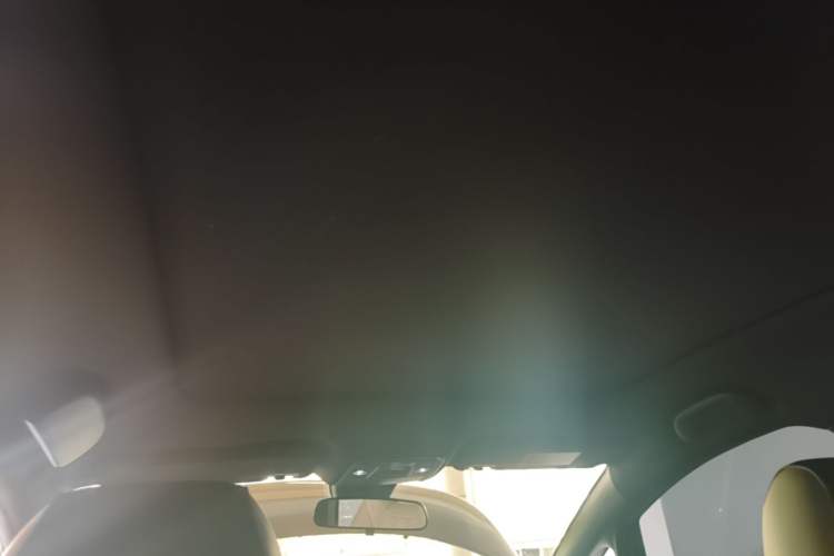 Used BYD Dolphin 2023 420 km Fashion Edition Headliner