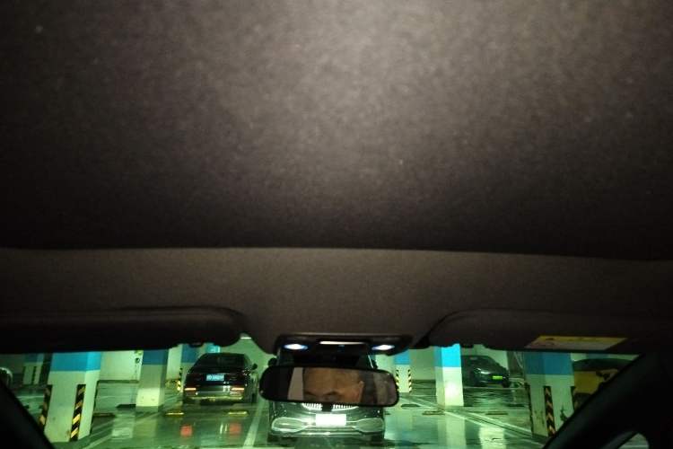 Used BYD Dolphin 2023 420 km Fashion Edition Headliner