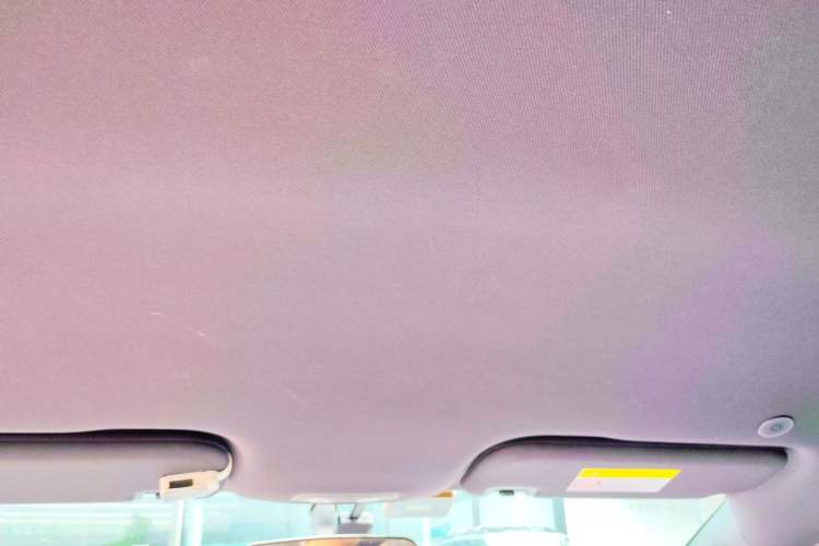 Used BYD Dolphin 2023 420 km Free Version Headliner