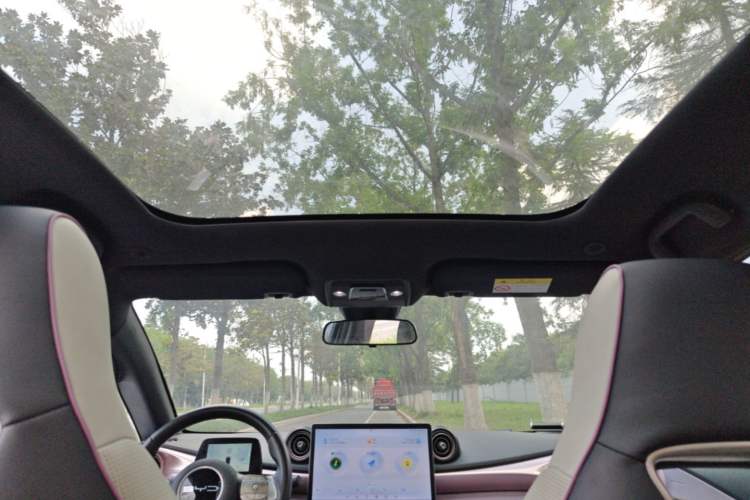 Used BYD Dolphin 2023 420 km Fashion Edition Headliner