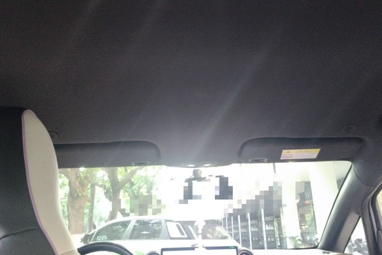 Used BYD Dolphin 2023 420 km Free Version Headliner