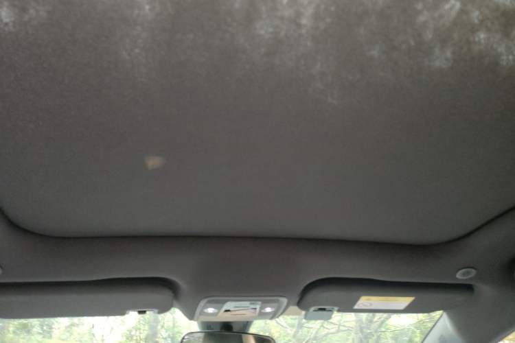Used BYD Dolphin 2023 420 km Fashion Edition Headliner