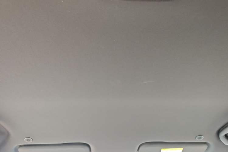 Used BYD Dolphin 2023 420 km Free Version Headliner