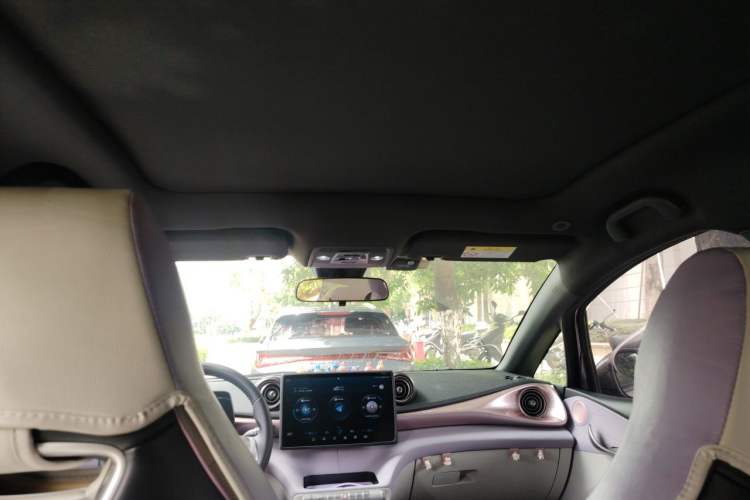 Used BYD Dolphin 2023 420 km Fashion Edition Headliner