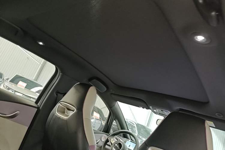 Used BYD Dolphin 2023 420 km Fashion Edition Headliner