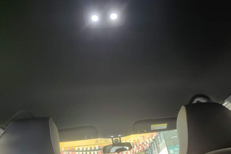 Used BYD Dolphin 2023 420 km Free Version Headliner