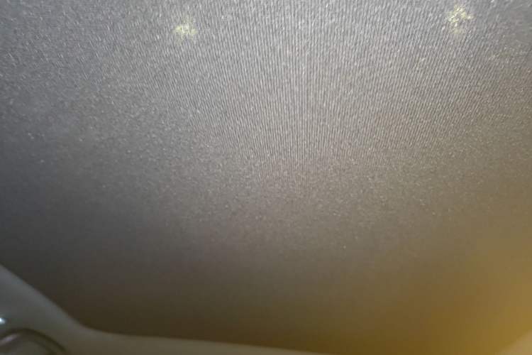 Used BYD Dolphin 2023 420 km Fashion Edition Headliner