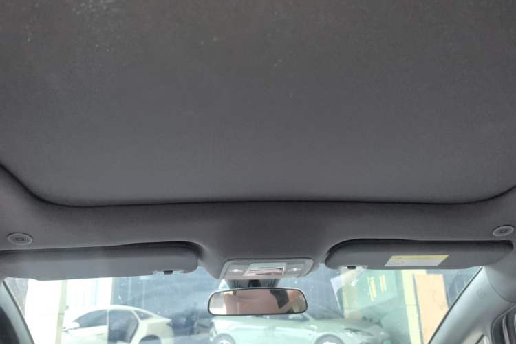 Used BYD Dolphin 2023 420 km Fashion Edition Headliner