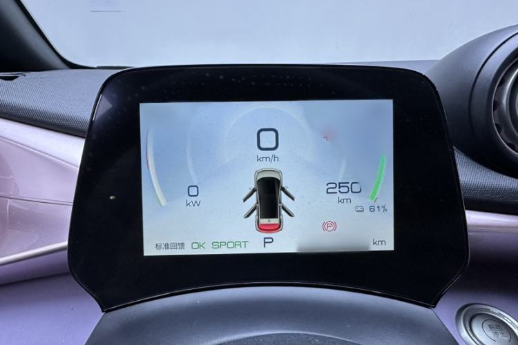 Used BYD Dolphin 2023 420 km Free Version Instrument Cluster