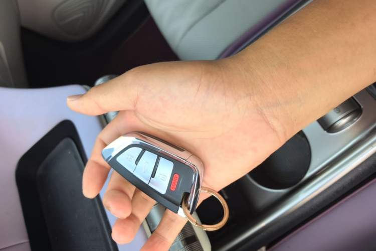 Used BYD Dolphin 2023 420 km Fashion Edition Interior 1