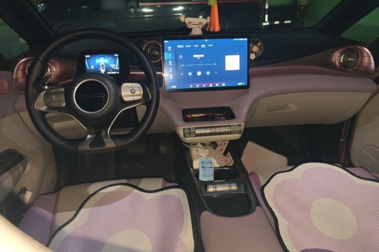 Used BYD Dolphin 2023 420 km Fashion Edition Interior 2