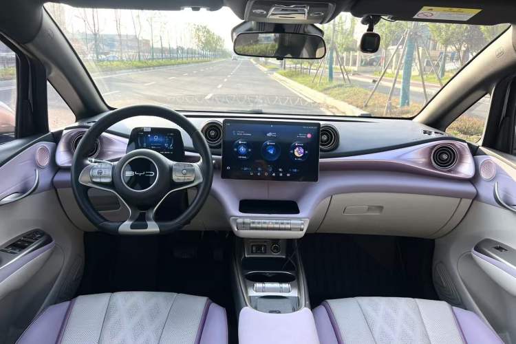 Used BYD Dolphin 2023 401km Knight Edition Interior 2