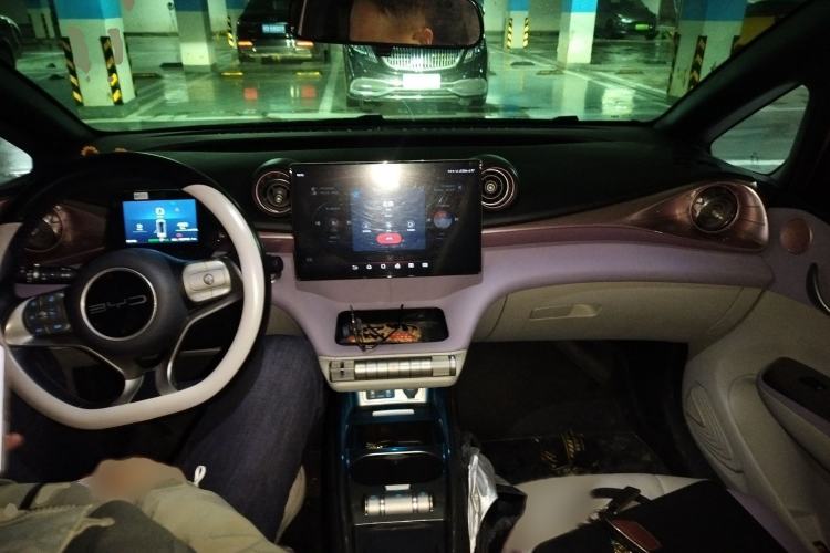 Used BYD Dolphin 2023 420 km Fashion Edition Interior 2