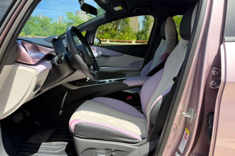 Used BYD Dolphin 2023 420 km Free Version Interior 2