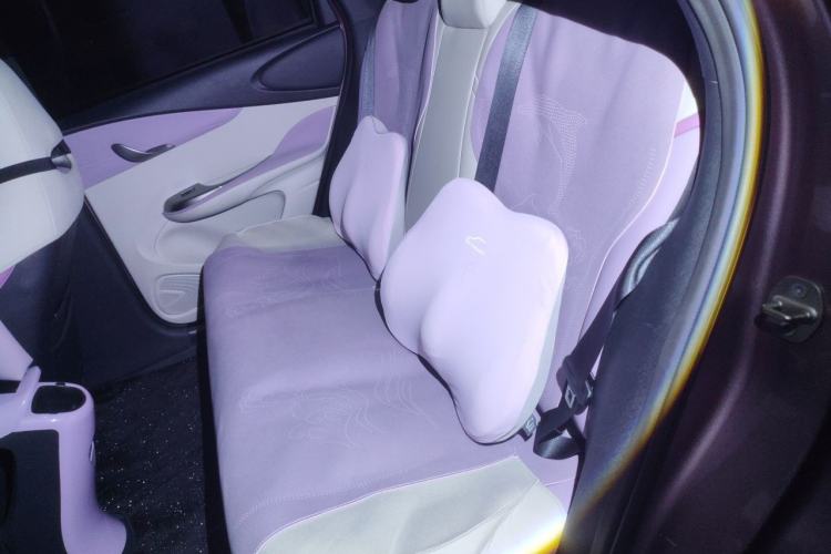 Used BYD Dolphin 2023 420 km Free Version Interior 4
