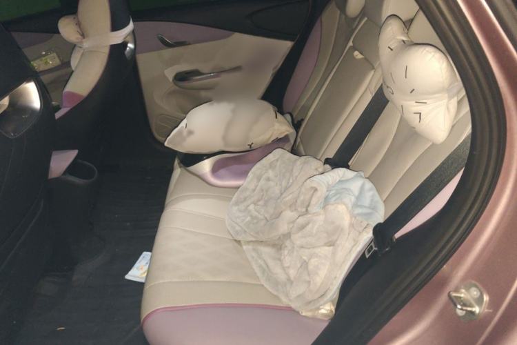 Used BYD Dolphin 2023 420 km Fashion Edition Interior 4