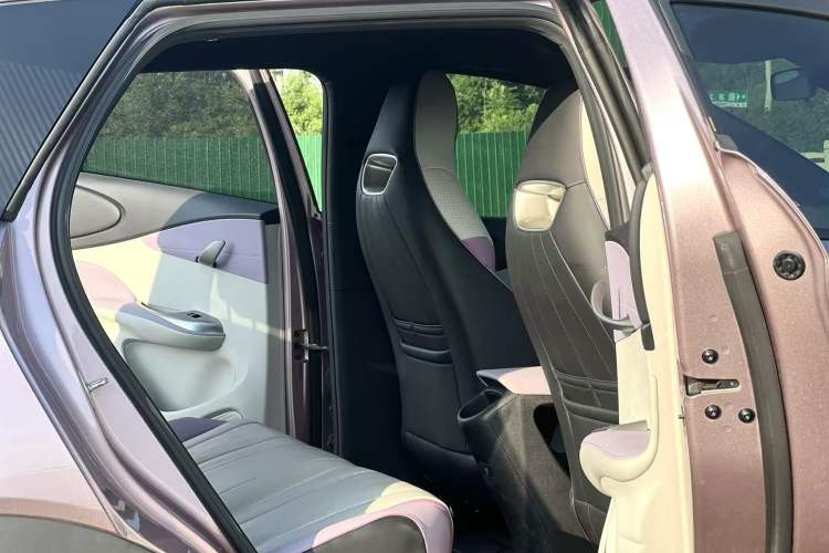 Used BYD Dolphin 2023 401km Knight Edition Interior 4