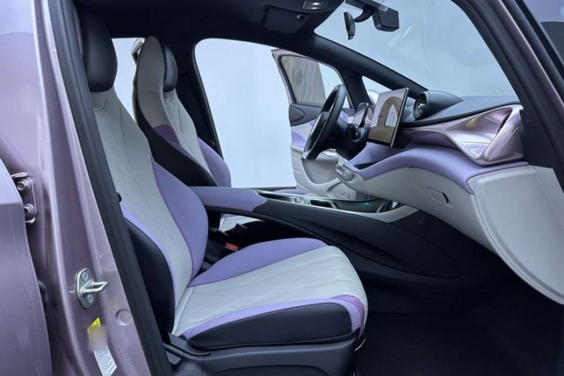 Used BYD Dolphin 2023 420 km Free Version Interior 4